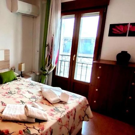 Apartamento En Zona De Ocio Casco Antiguo 阿利坎特 外观 照片